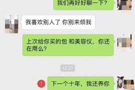 西双版纳债务清欠服务